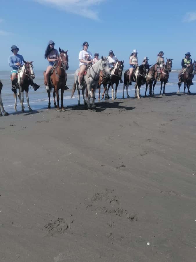 Cartagena: Horse Riding on the Beach with Photos and Lunch - Why this beach ride is worth considering