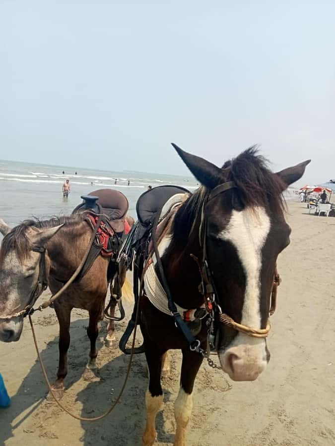 Cartagena: Horse Riding on the Beach with Photos and Lunch - The walk toward Los Morros