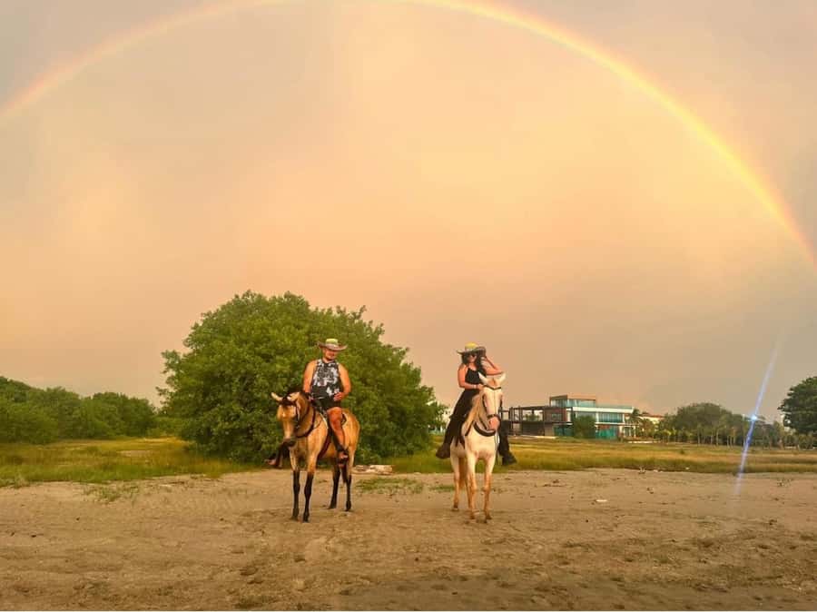 Cartagena: Horseback Ridding Excursion on the Beach - Key points to know before booking