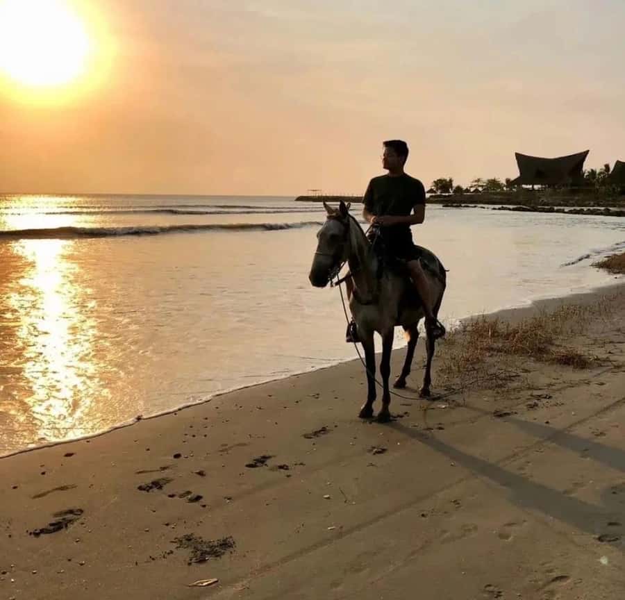 Cartagena: Horseback Ridding Excursion on the Beach - Riding beside the Caribbean Sea