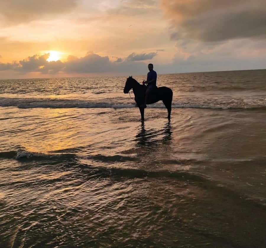 Cartagena: Horseback Ridding Excursion on the Beach - Meeting the horses and guide
