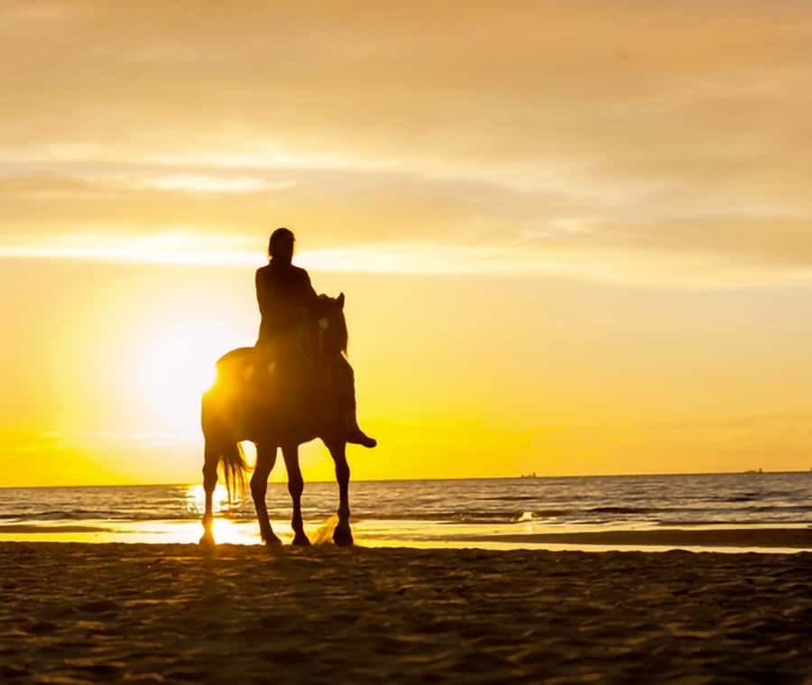 Cartagena: Horseback Riding on the Beach at Sunset - Why This Ride Shows You Another Cartagena