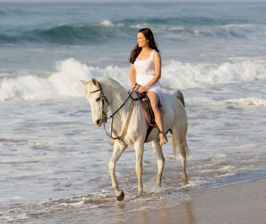 Cartagena: Horseback Riding on the Beach at Sunset - Meeting the Horses and Learning the Basics