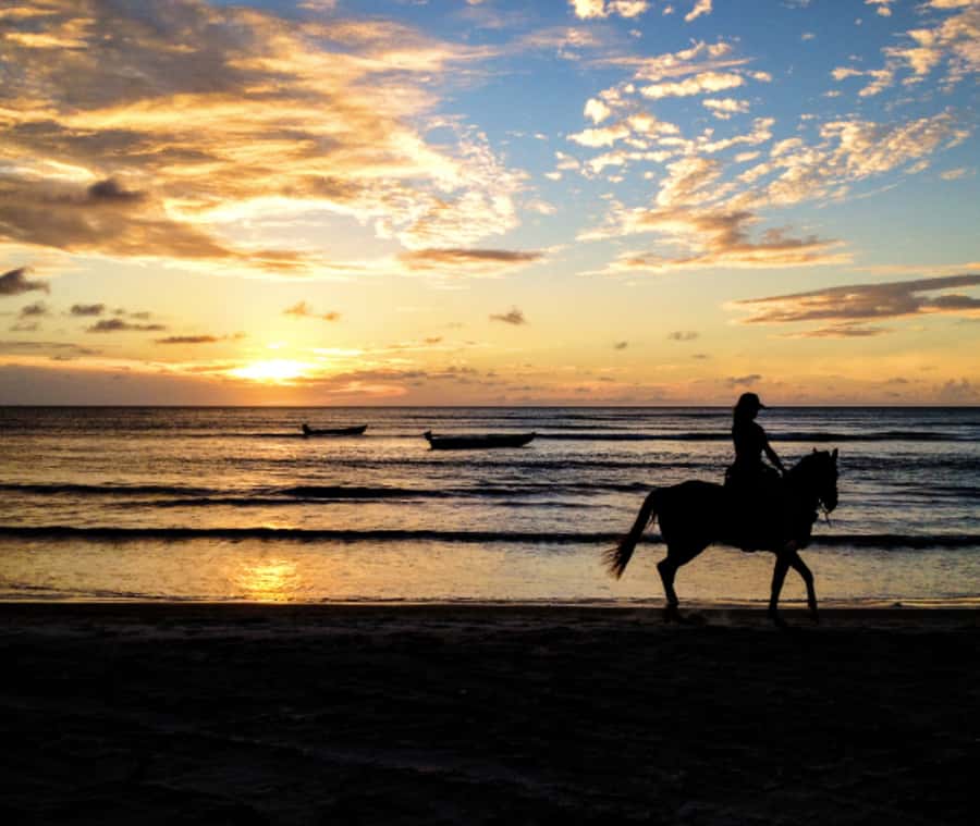 Cartagena: Horseback Riding on the Beach at Sunset - The Guides Make the Difference