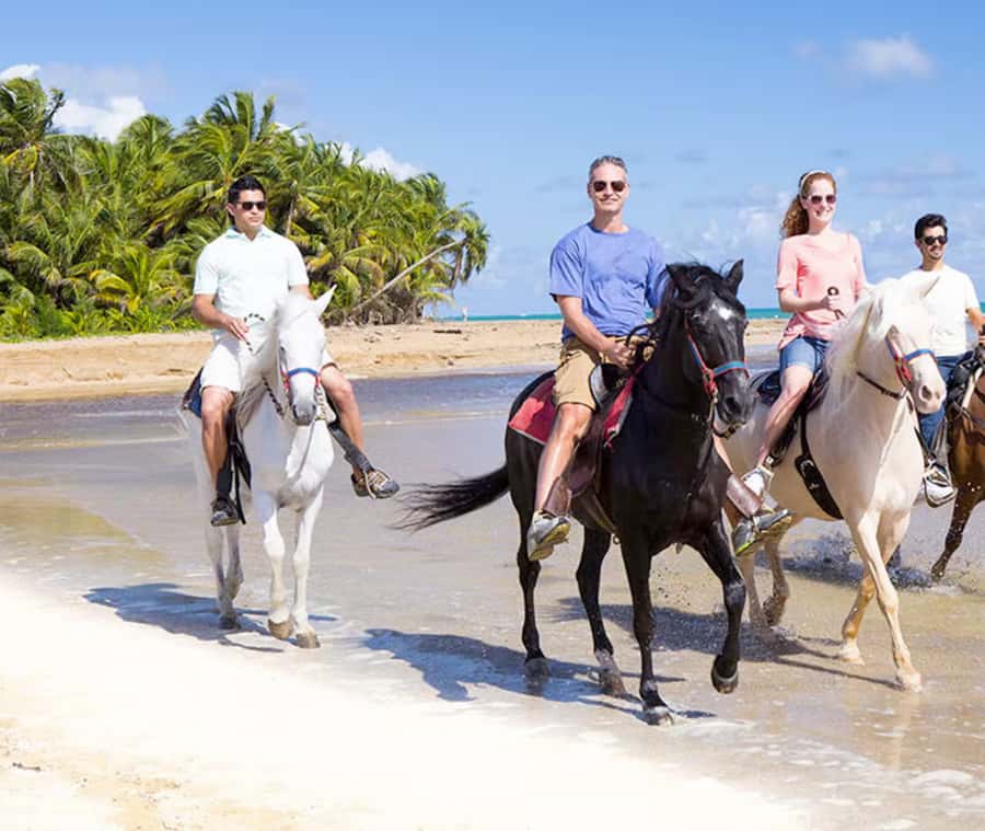 Cartagena: Horseback Riding on the Beach at Sunset - Arriving at María Palito Without a Pickup