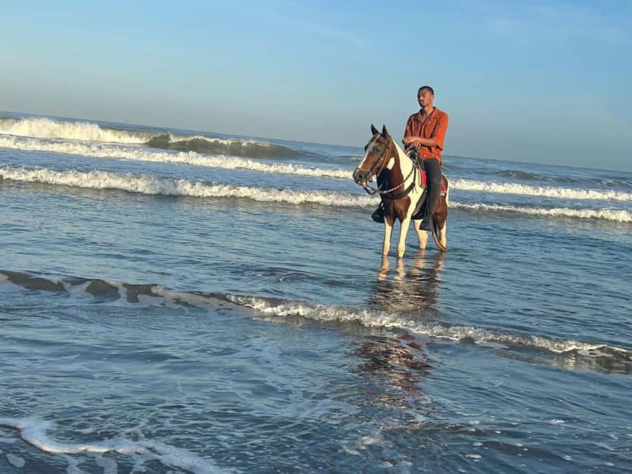 Cartagena: Horseback Riding Tour with Hotel Pickup - Meeting the Horses and Learning the Basics