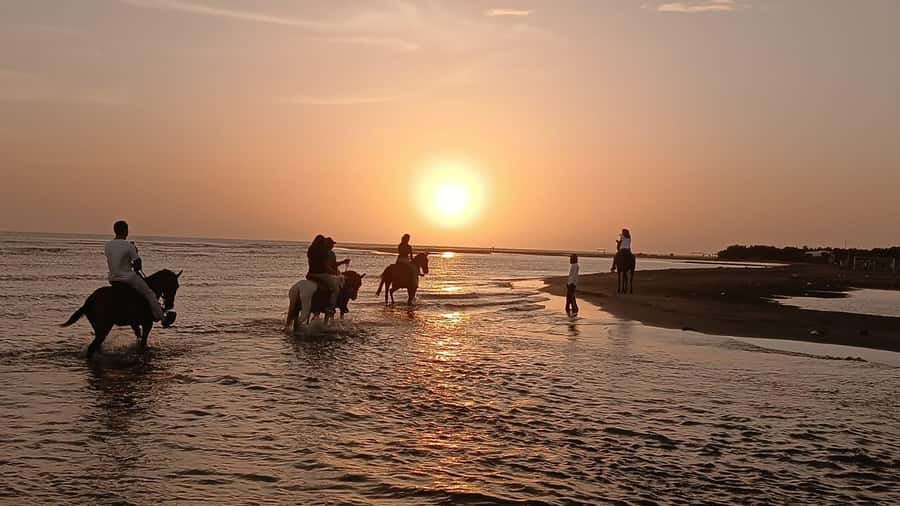 Cartagena: Horseback Riding Tour with Hotel Pickup - Seeing La Boquilla at Ground Level