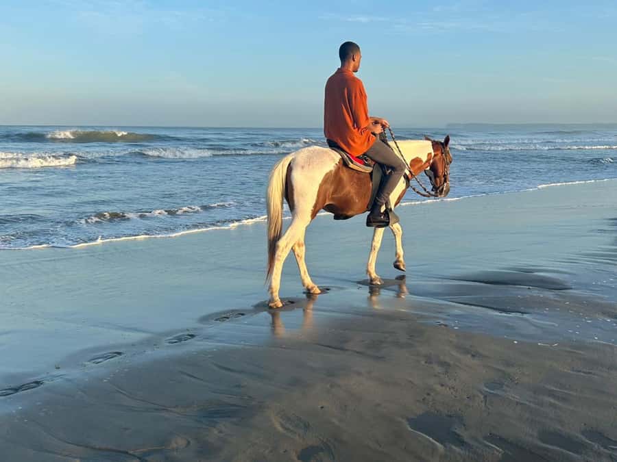 Cartagena: Horseback Riding Tour with Hotel Pickup - Practical Preparation for the Beach