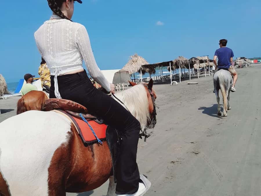 Cartagena: Horseback Riding Tour with Hotel Pickup - Arriving at Playas de La Boquilla