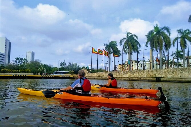 Cartagena In Kayak - Why Cartagena’s harbor is worth seeing by kayak