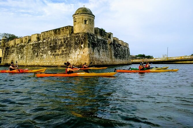 Cartagena In Kayak - Bird Island and the San Lazaro Lagoon