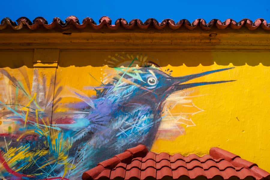 Cartagena Instagram Mobile Workshop: Scenic and Trendy Shots - The first lessons: angles, color, and composition