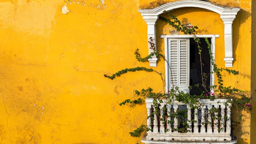 Cartagena Instagram Mobile Workshop: Scenic and Trendy Shots - What the strong feedback tells you