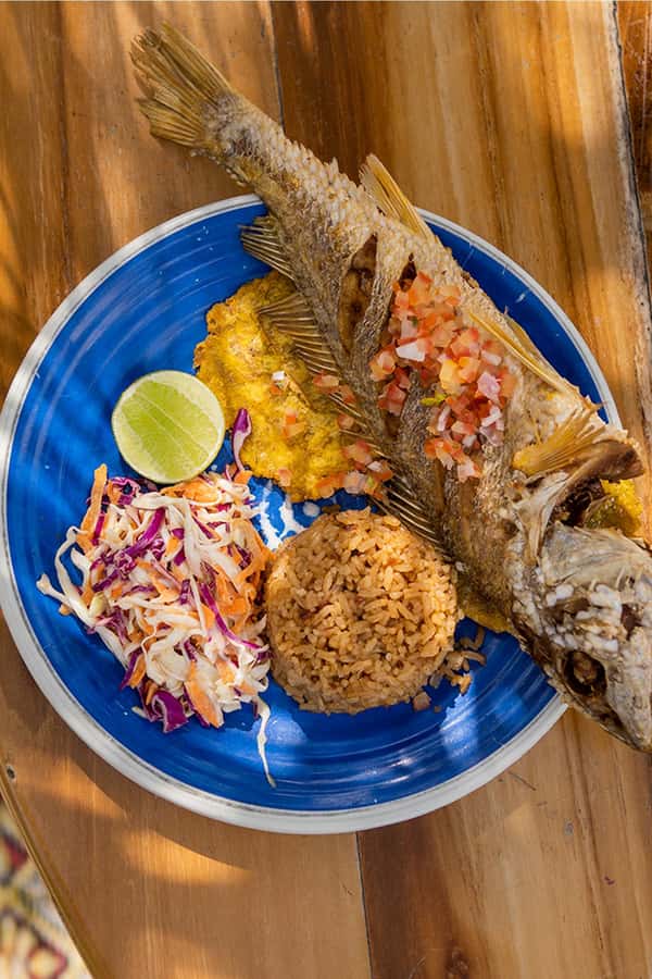 Cartagena: La Punta Beach Club Day Pass (Lunch included) - Who should book this beach club day?