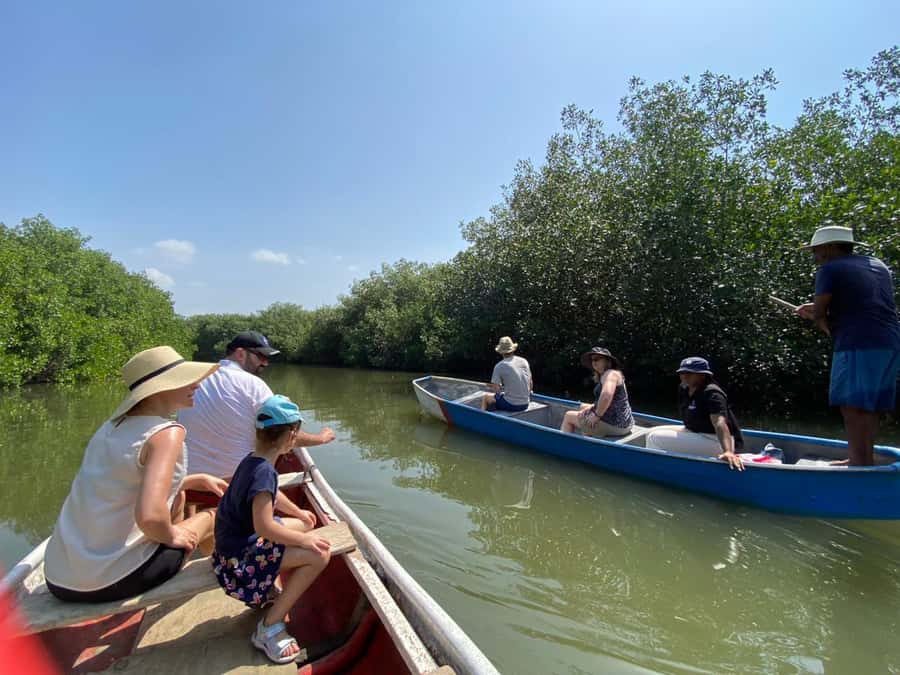 Cartagena: Mangrove Eco Tour & Fishing with Transportation - Why La Boquilla adds more than scenery