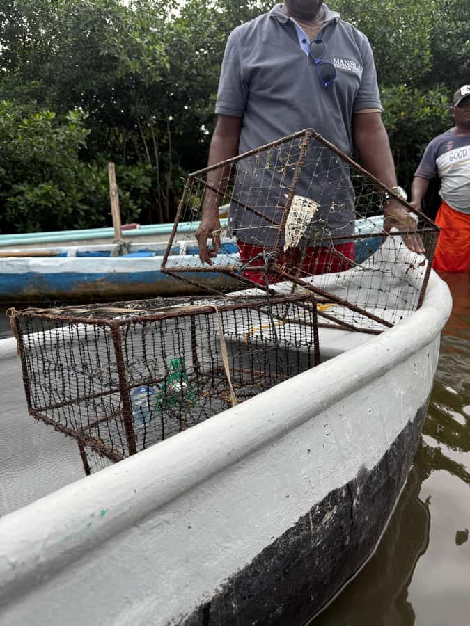 Cartagena: Mangrove Eco Tour & Fishing with Transportation - Learning to cast a fishing net