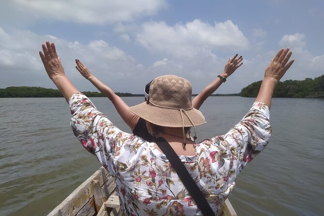 Cartagena Mangrove Private Tour - Key points at a glance
