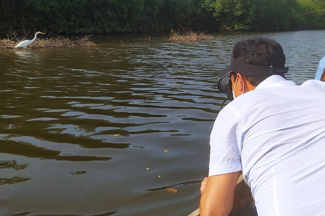 Cartagena Mangrove Private Tour - Leaving Cartagena for La Boquilla