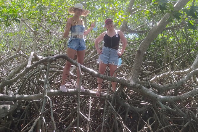 Cartagena Mangrove Private Tour - Trying local fishing with a net