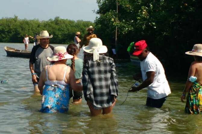 Cartagena Mangrove Private Tour - Adding lunch, the beach, and village life