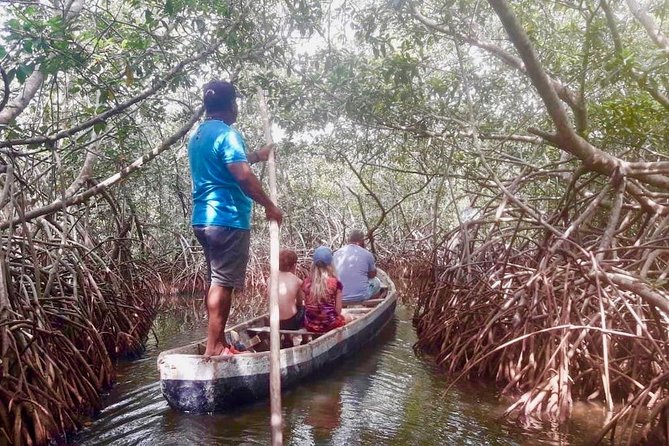 Cartagena Mangrove Tour - Key points about the La Boquilla mangrove experience