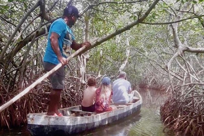 Cartagena Mangrove Tour - Why La Boquilla changes the Cartagena day