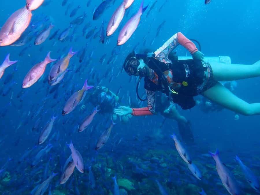 Cartagena: PADI DISCOVER SCUBA / MINICURSO DE BUCEO - Key Points About This Barú Scuba Trip