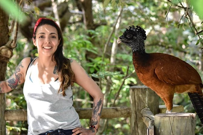 Cartagena private aviary tour - Key points at a glance