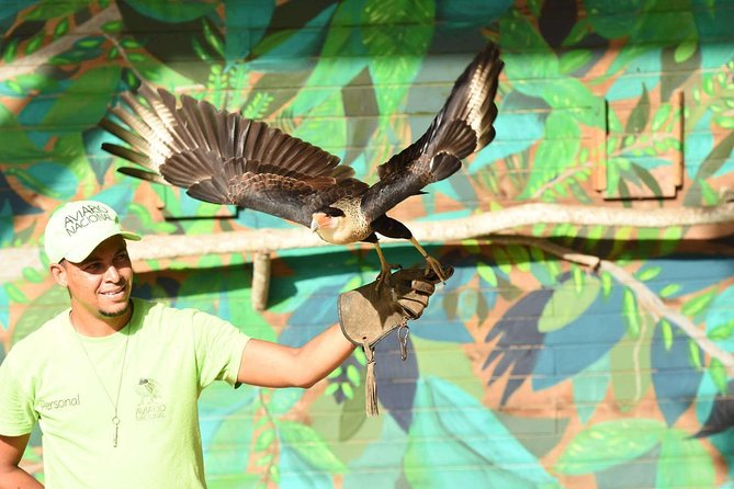 Cartagena private aviary tour - Who should book this experience?