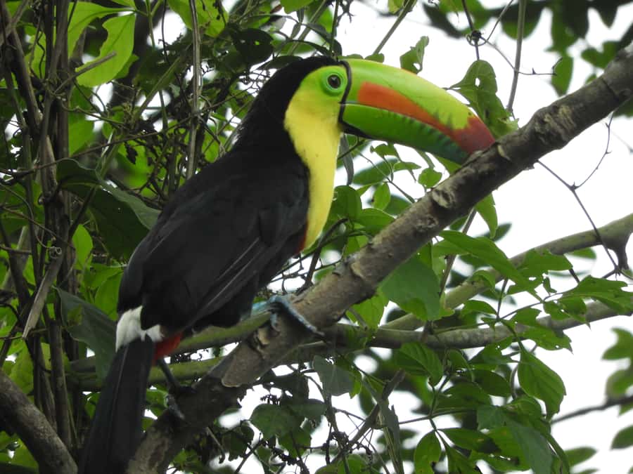 Cartagena: Private Bird-Watching Tour with Breakfast - Breakfast at the reserve owner’s home