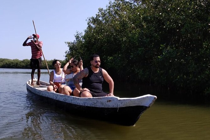 Cartagena : Private Mangrove Tour + Lunch + Horse riding - Why La Boquilla makes a good escape from central Cartagena