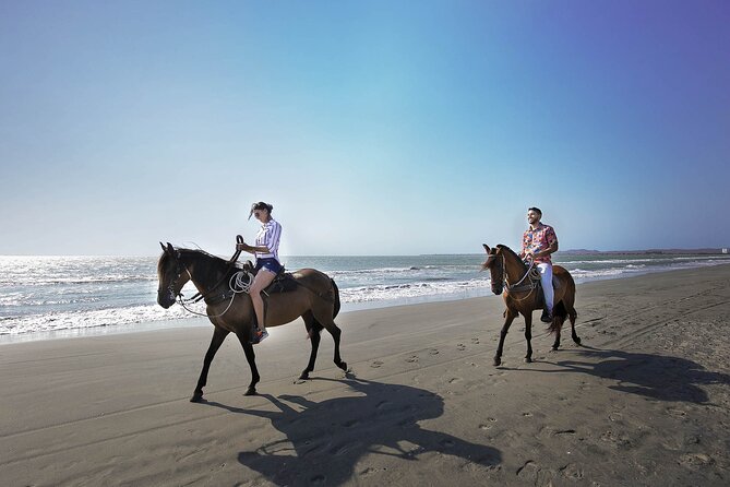 Cartagena : Private Mangrove Tour + Lunch + Horse riding - Trying traditional net fishing near the beach
