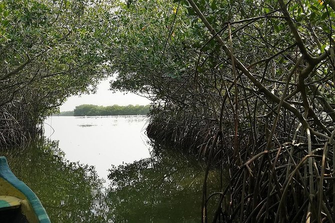 Cartagena : Private Mangrove Tour + Lunch + Horse riding - Lunch at Restaurante Marlene, with the Caribbean in front of you