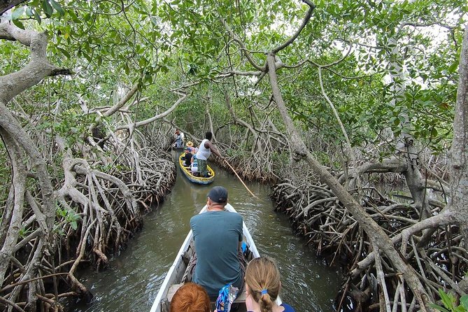 Cartagena : Private Mangrove Tour + Lunch + Horse riding - Horseback riding on Playas de la Boquilla