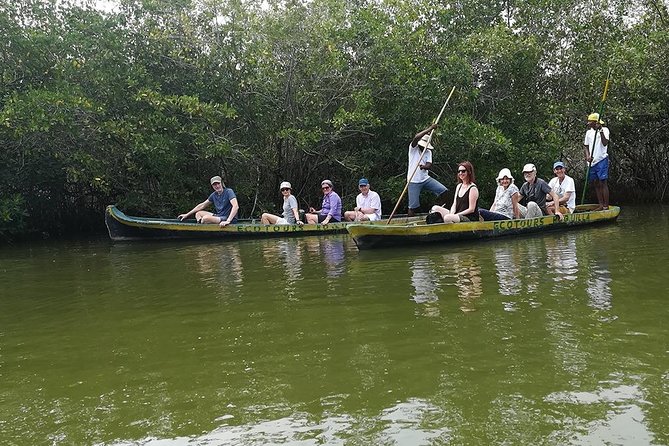 Cartagena : Private Mangrove Tour + Lunch + Horse riding - What the $200 price includes