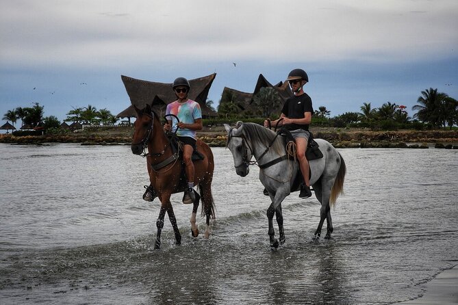 Cartagena : Private Mangrove Tour + Lunch + Horse riding - Who will enjoy this half-day outing most