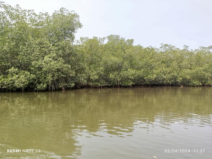 Cartagena: Private Sail in the mangrove GUIDE in ENGLISH - Problems With Organization You Should Weigh