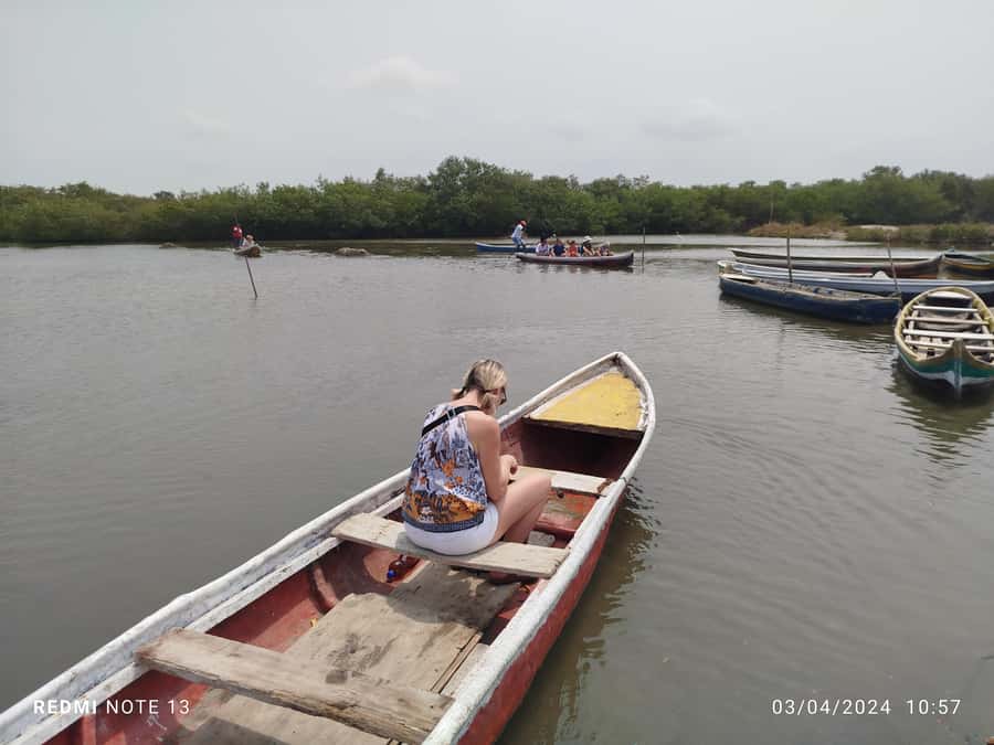 Cartagena: Private Sail in the mangrove GUIDE in ENGLISH - The Second Tunnel and Pantano de la Virgen