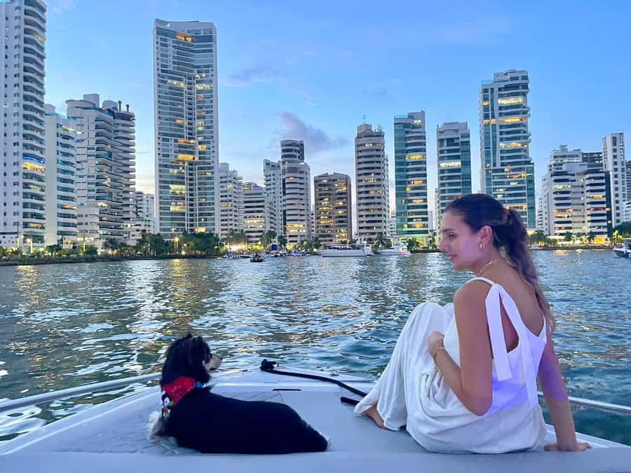 Cartagena: Private Sunset and Night Boat Tour - Who will enjoy this sunset cruise most?