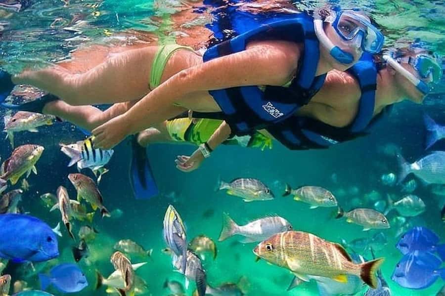 Cartagena: Raccoon Island Snorkel, Mangrove, Photos & Lunch - An Early Start From Cartagena
