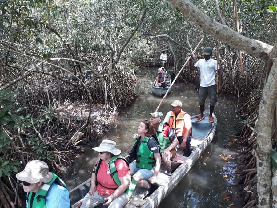Cartagena: Ride a horse & sail through the mangrove - Thirty minutes on horseback at La Boquilla