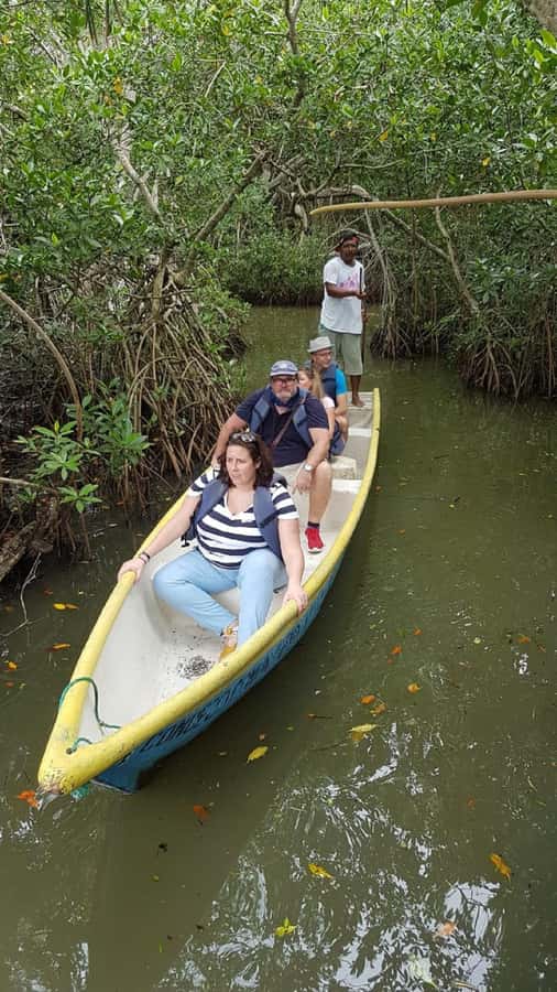 Cartagena: Ride a horse & sail through the mangrove - Meeting at Portovento or the Sonesta entrance