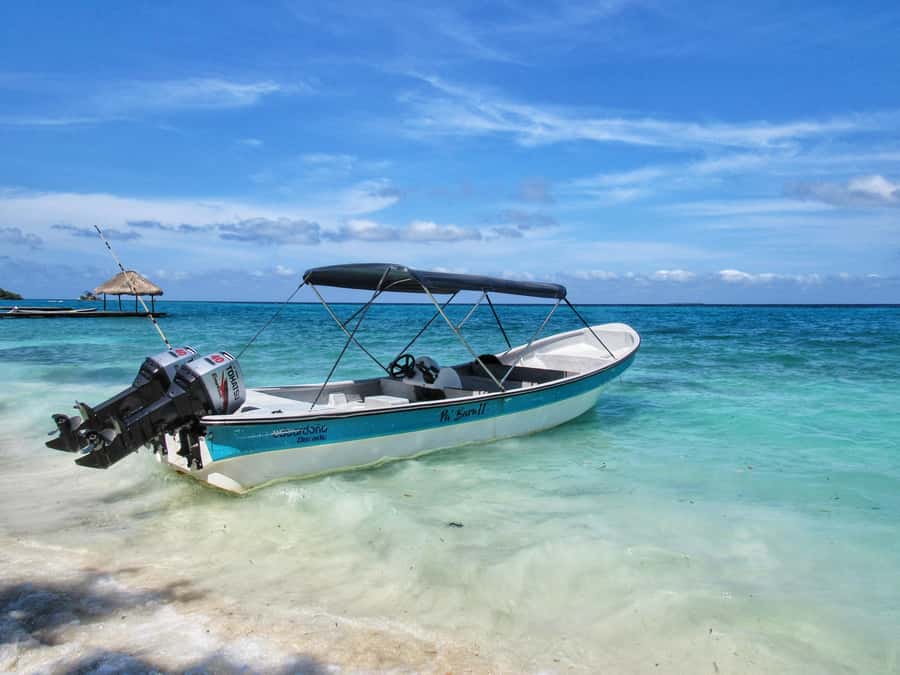Cartagena: Rosario Island and Mangroves Private Day Trip - How the private format changes the day