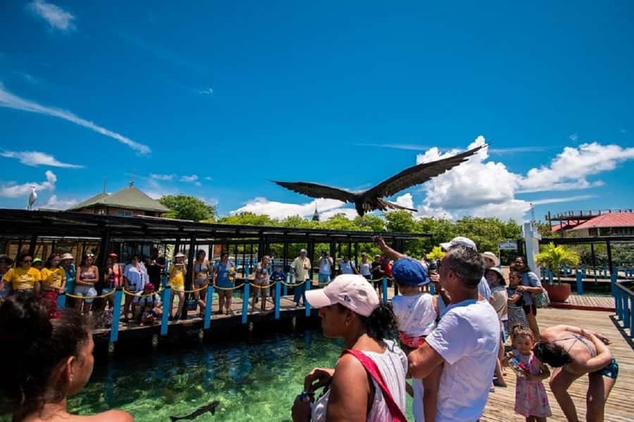 Cartagena: Rosario islands Playa Blanca Barù by boat & lunch - The speedboat ride and what to bring