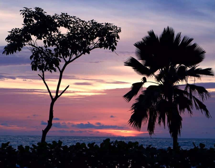 Cartagena: Rosario Islands Private Boat Tour - Is $403 per person good value?