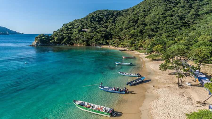 Cartagena: Rosario Islands Private Boat Tour - Who should choose this boat tour?