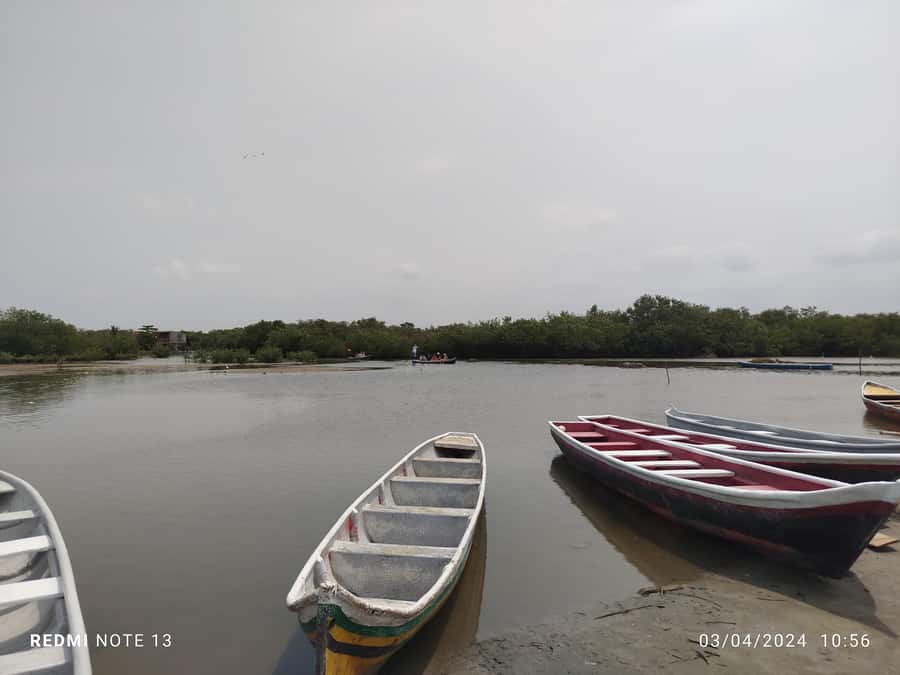 Cartagena: Sail in the mangroves of Cartagena - The guide can make or break the outing