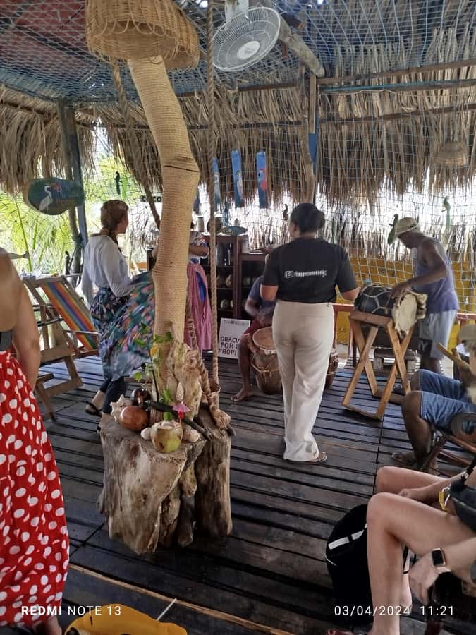 Cartagena: Sail in the mangroves of Cartagena - Timing, comfort, and who will enjoy it most