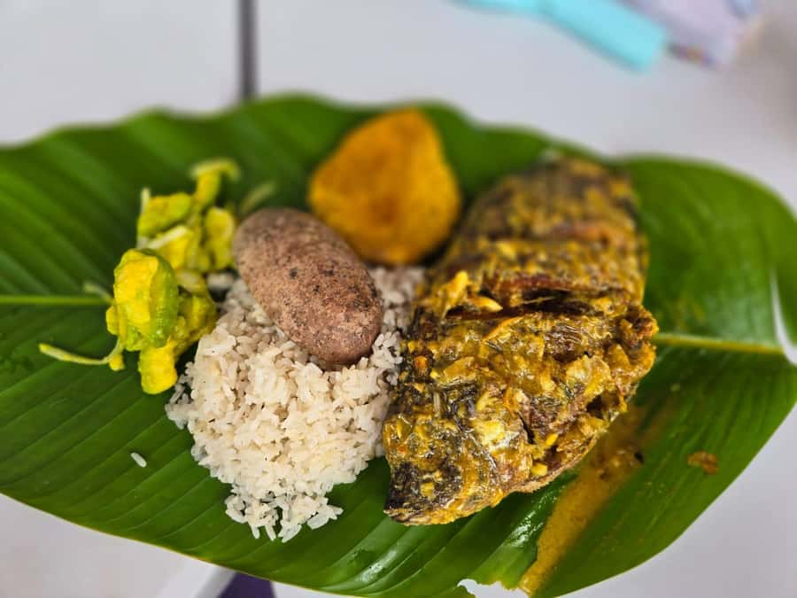 Cartagena: San Basilio de Palenque Guided Day Trip - Key points to know before booking