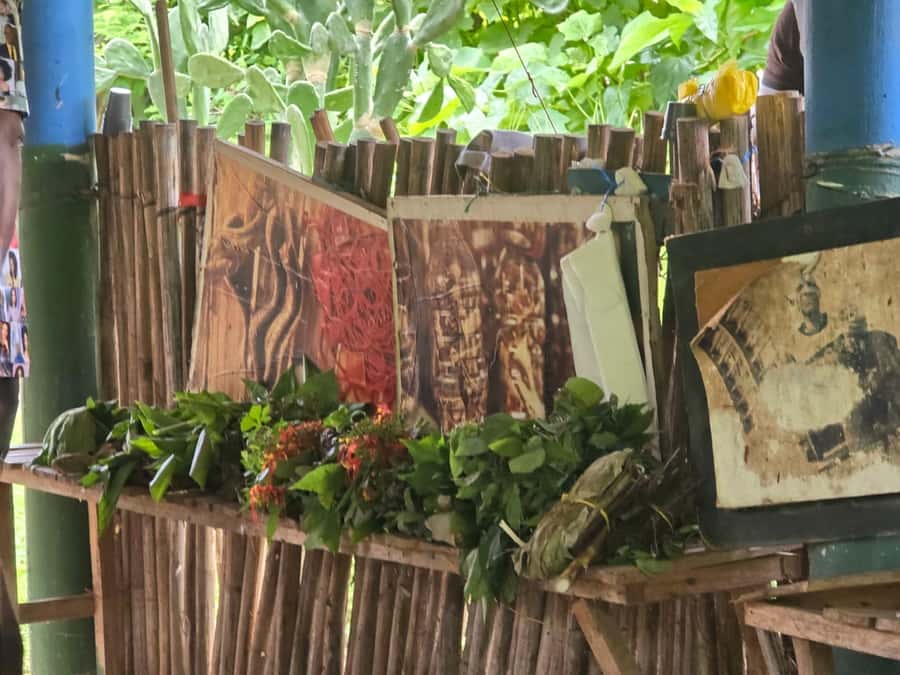 Cartagena: San Basilio de Palenque Guided Day Trip - Who should book this experience?